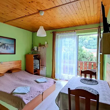 Pod Zapalenica W Centrum